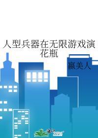 人型兵器在无限游戏演花瓶笔趣阁