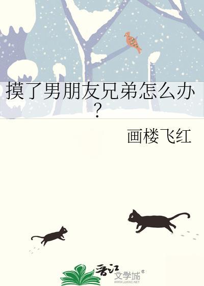 摸了男朋友兄弟怎么办txt资源