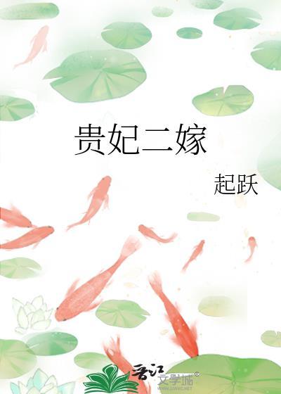 贵妃二嫁起跃txt