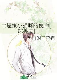 韦恩家小猫咪的使命[综英美]