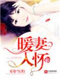 暖妻入怀(重生)
