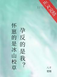 怀崽的是清冷美人，宿敌孕反？