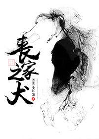 丧家之犬(重生)