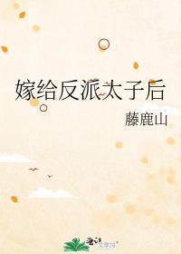 嫁给反派太子后