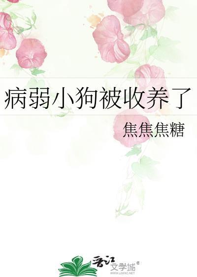 病弱小狗被收养了