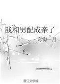 我和男配成亲了