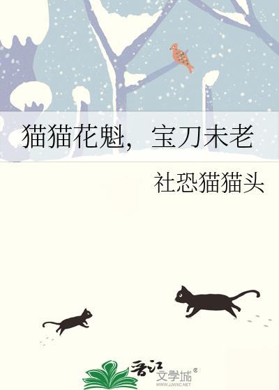 猫猫花魁，宝刀未老