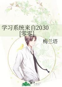 学习系统来自2030[零零]